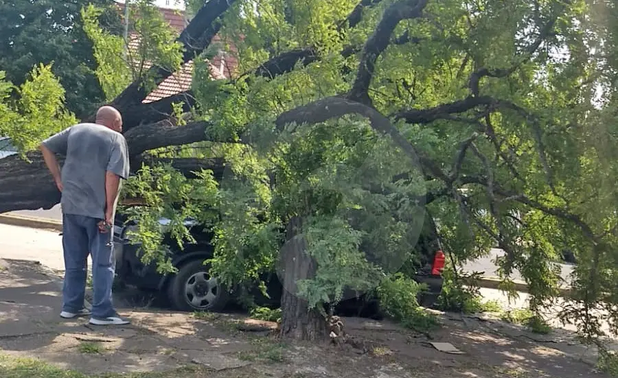 Fuertes vientos volvieron a causar problemas en la ciudad