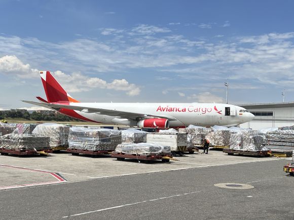 San Valentín 2023: Avianca Cargo transporta más de 18mil toneladas de flores