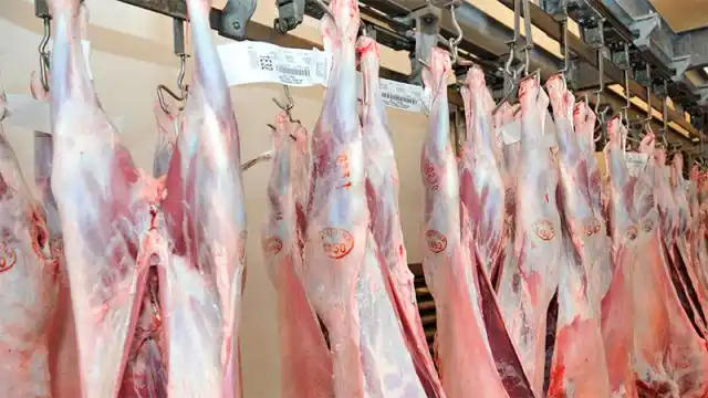 La exportación de carne en octubre fue la más alta en lo que va del año