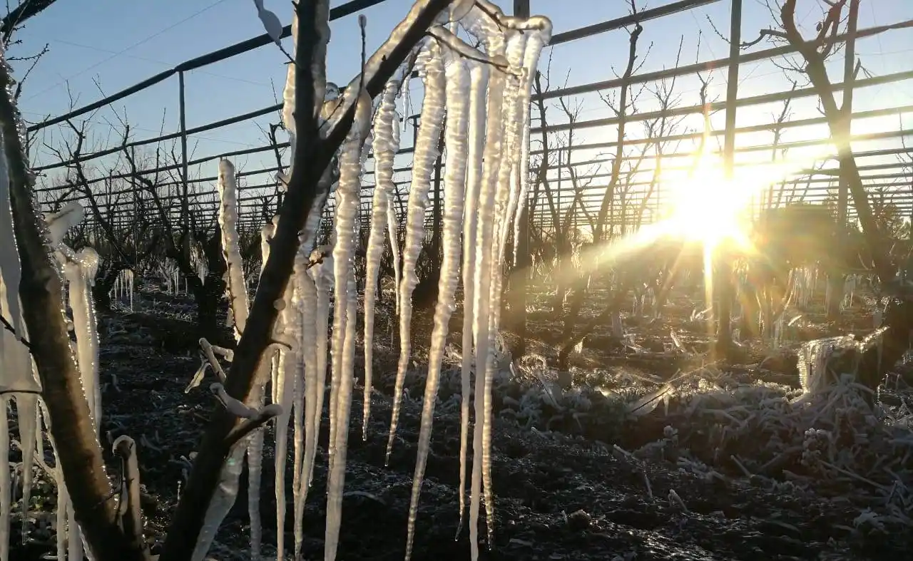 Estiman que lo que queda del otoño y el inicio del invierno será más frío