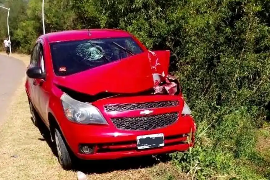 Se quiso poner el barbijo mientras manejaba y terminó chocando contra un poste