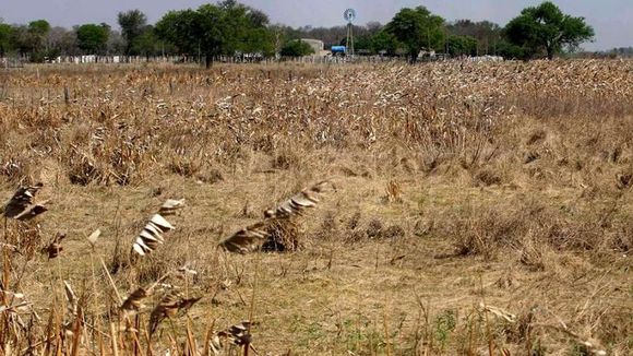 Aprobaron solicitar la declaración de emergencia agropecuaria a Provincia