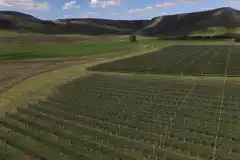 Balcarce pasa a ser geografía destacada para la producción de vino de alta gama