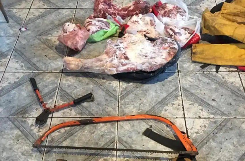 Robaron vacas, las mataron y vendieron la carne: dos aprehendidos