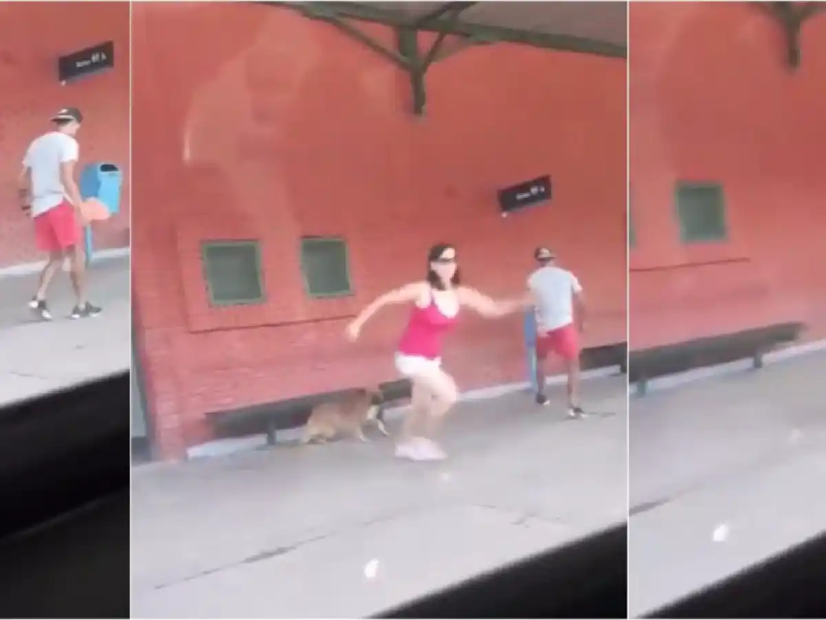Subió corriendo al tren y dejó a su perro abandonado en el andén