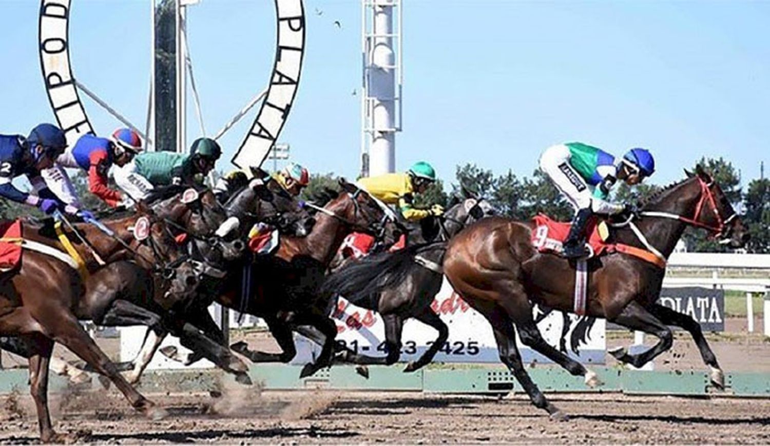 Jueves 7: Actividad Hipódromo de La Plata