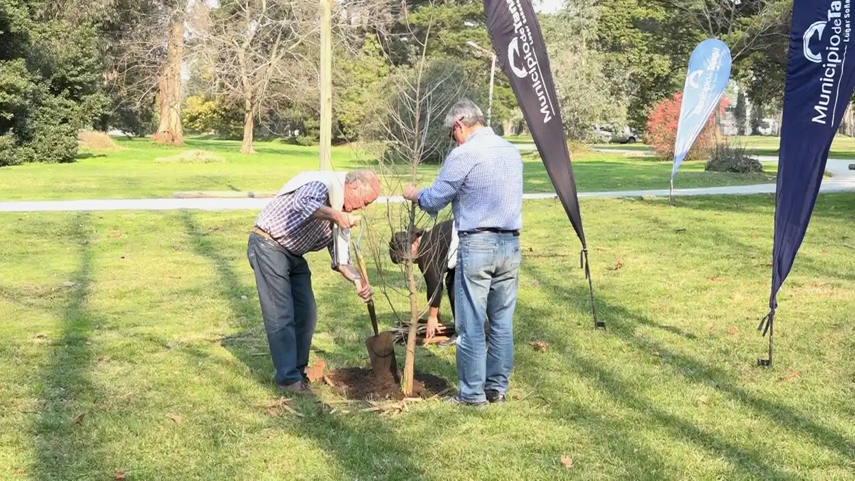 Lunghi destacó la importancia del arbolado público y  los espacios verdes