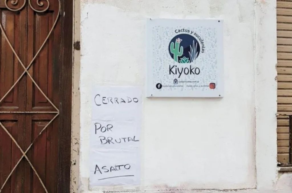Delincuente le pegó patadas en la cabeza a una mujer para robar en su comercio
