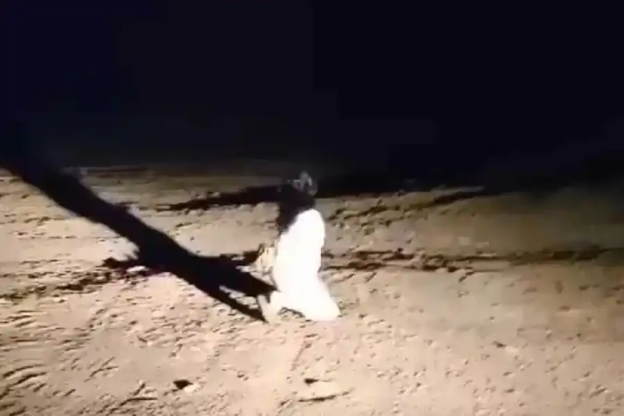 Terror y preocupación en Tucumán: grabaron a una mujer “fantasma” caminando de noche en un cementerio