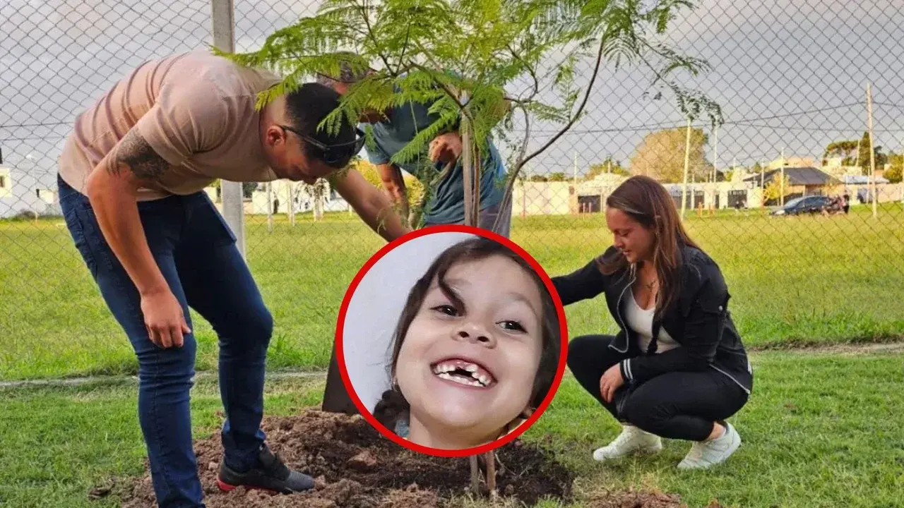 El arbol que plantaron los papas de Kim en el club donde hacia Gimnasia Artistica