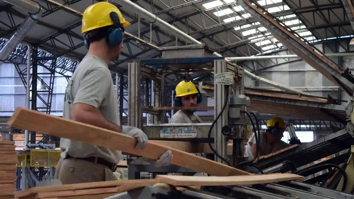 La economía entrerriana cayó menos que la nacional 