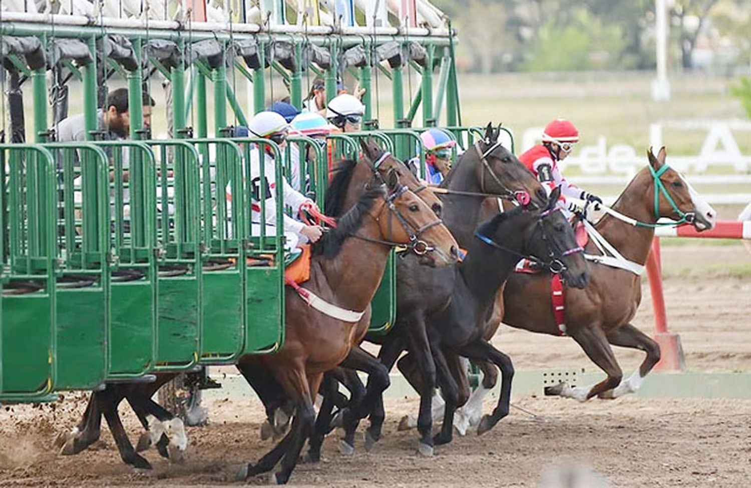 Martes 18: Actividad Hipódromo de La Plata