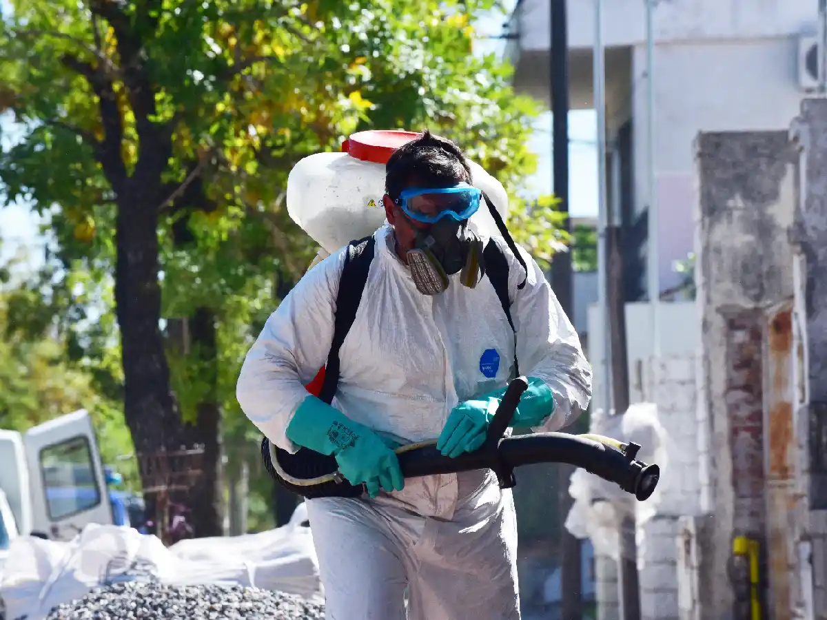 “Están dadas las condiciones para que haya cada vez más dengue” 