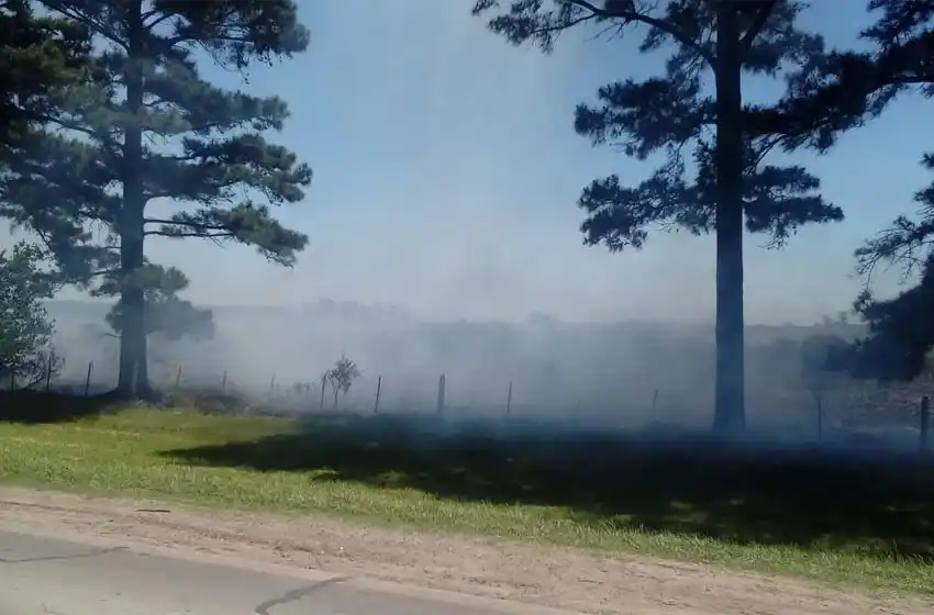 Hartos de las fumigaciones, prendieron fuego un campo en Andino