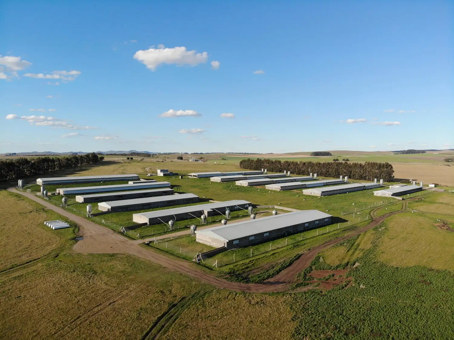 Uniporc Tandil - 2