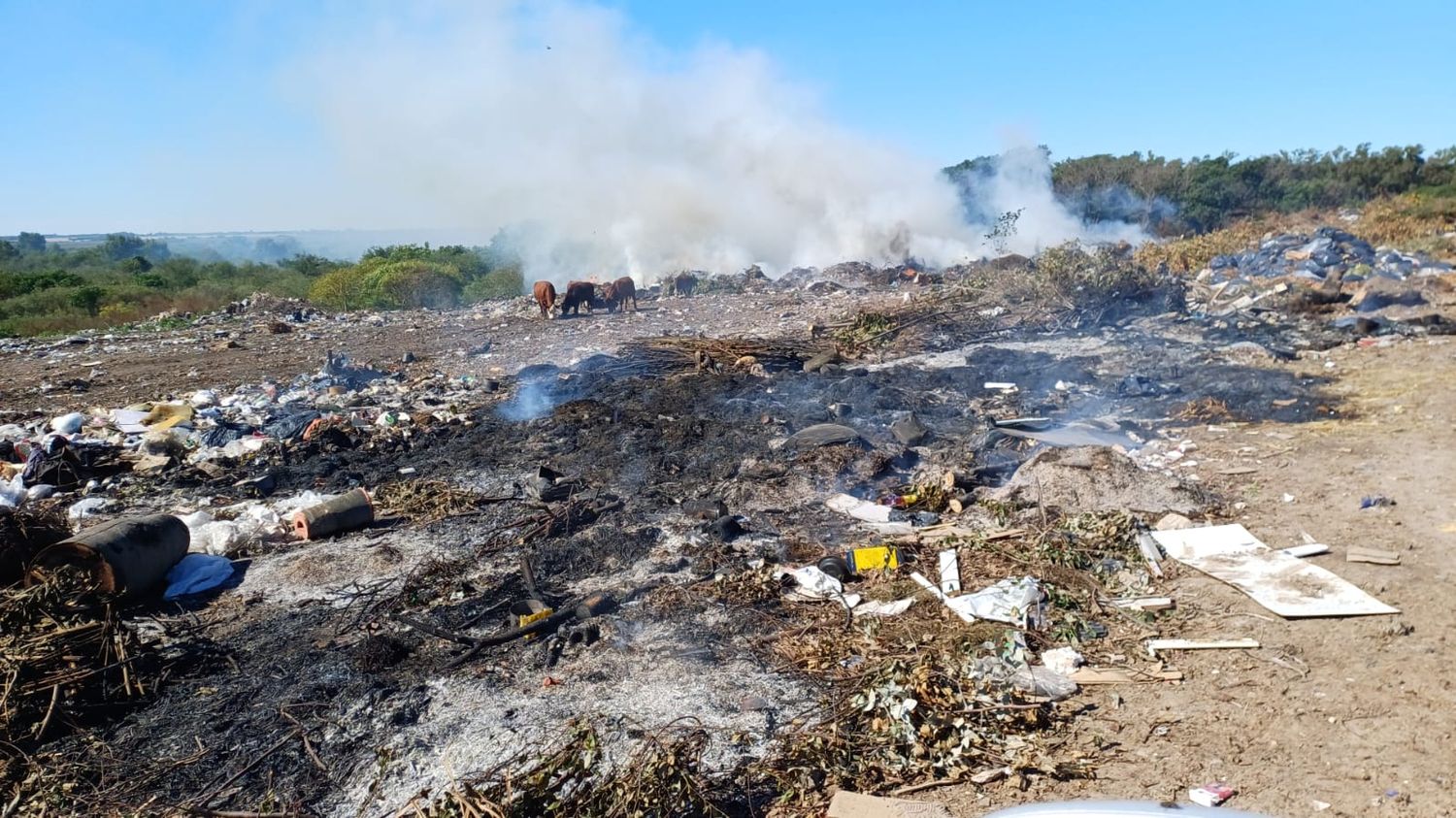 Incendio en el Basural