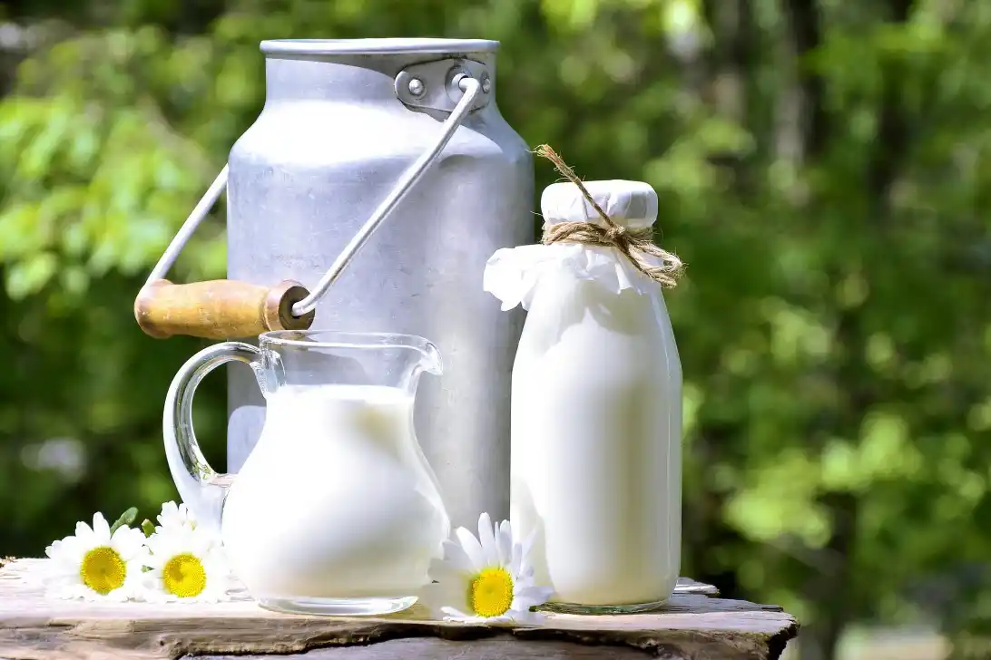 ¿La leche descremada aumenta las ganas de comer?
