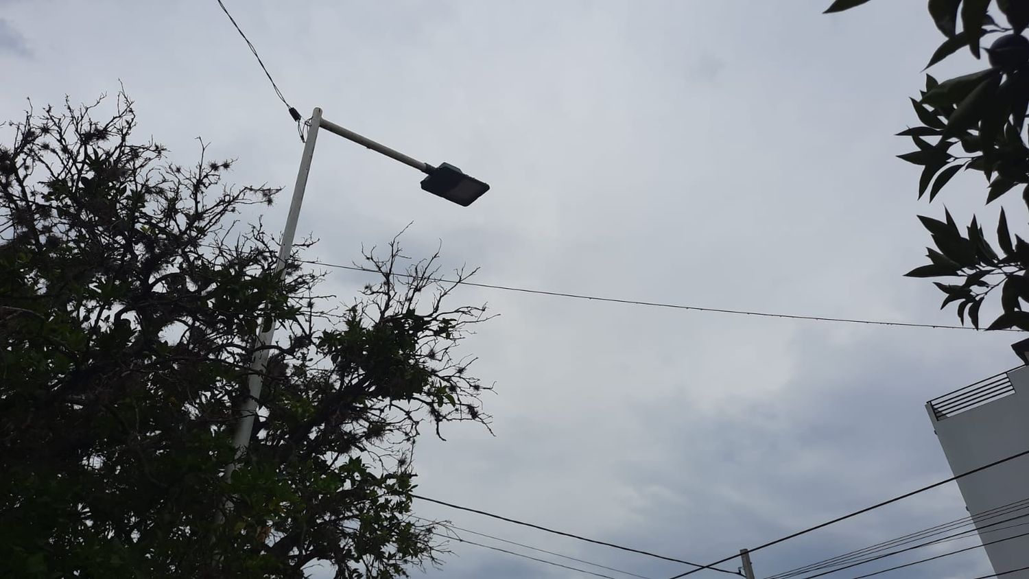 Aunque con probabilidad de lluvias, no hay alerta por tormentas para San Pedro