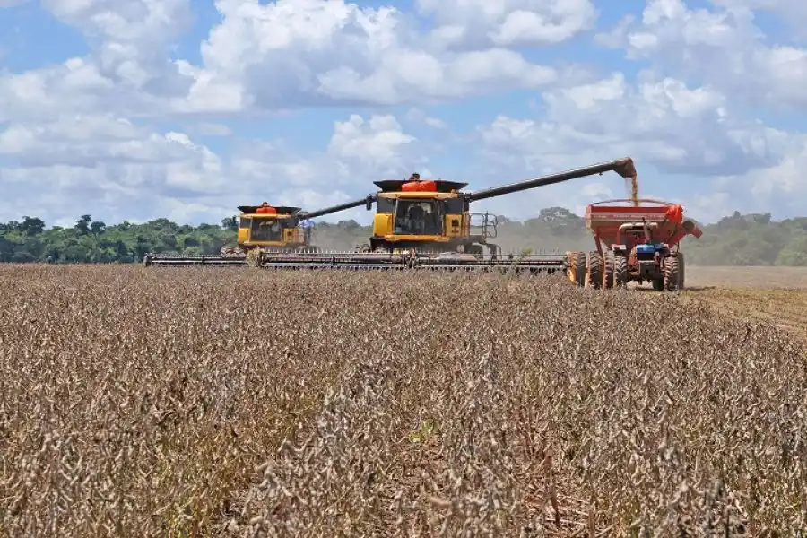 La liquidación de divisas de los agroexportadores fue récord en 2022