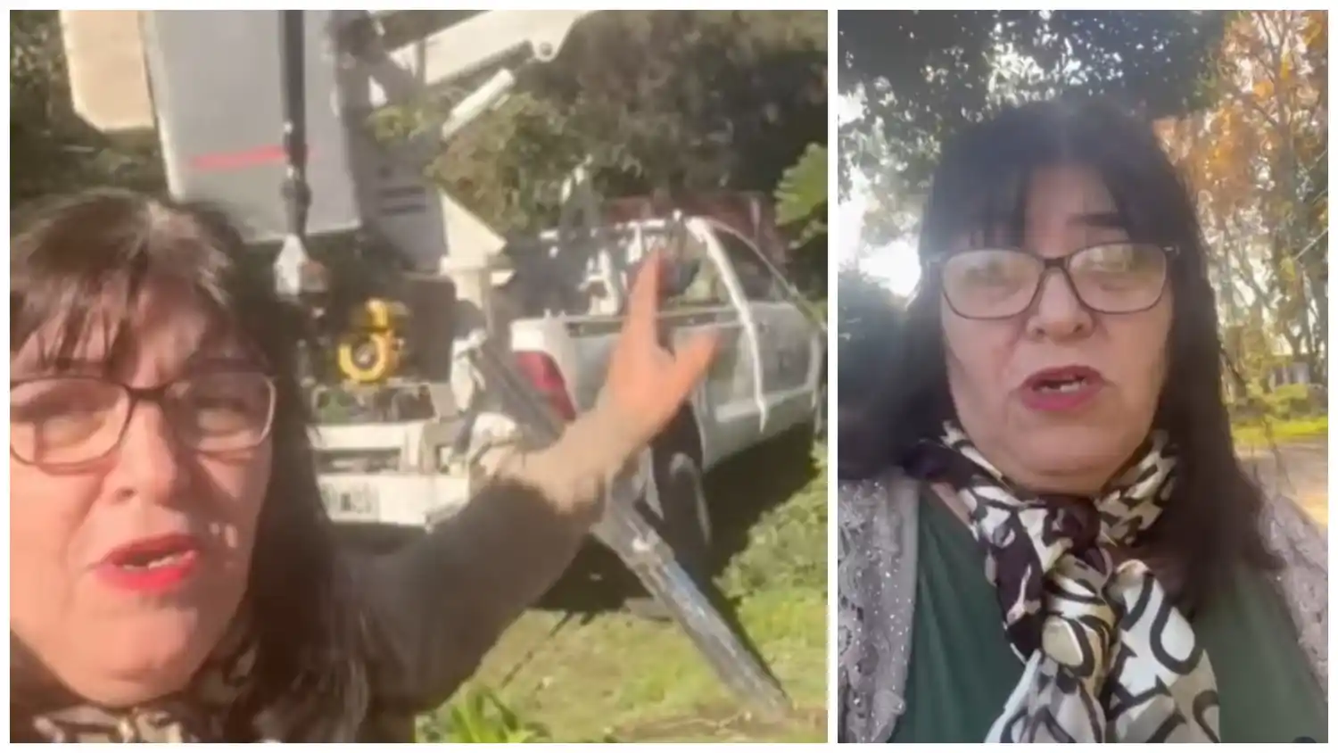 Una concejal de Merlo denunció que el intendente Menéndez usa camiones municipales para cortar pasto en casas de amigos