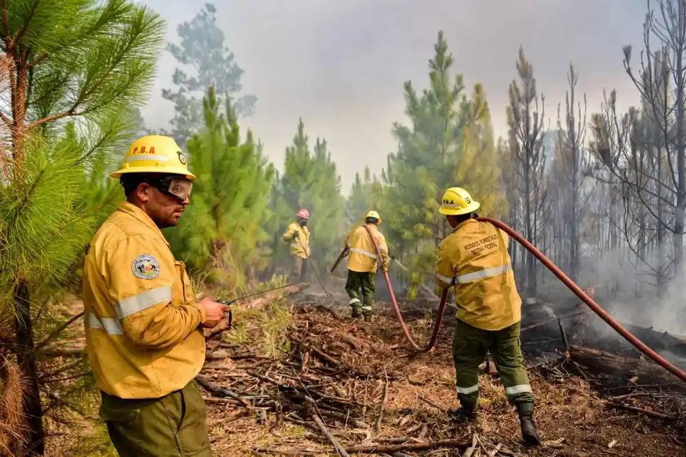 Cuáles son las regiones bonaerenses con "riesgo extremo" por los incendios