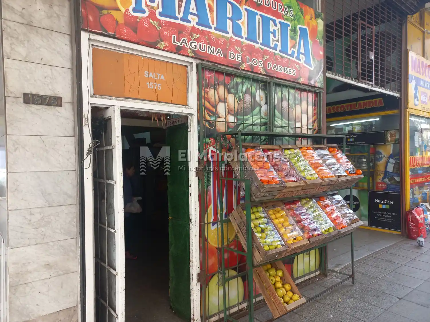 El hecho ocurrió durante la mañana de este jueves en Salta y Avenida Luro.