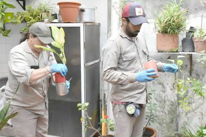 Delinean estrategias para fortalecer el control
y la prevención del dengue y chikunguña