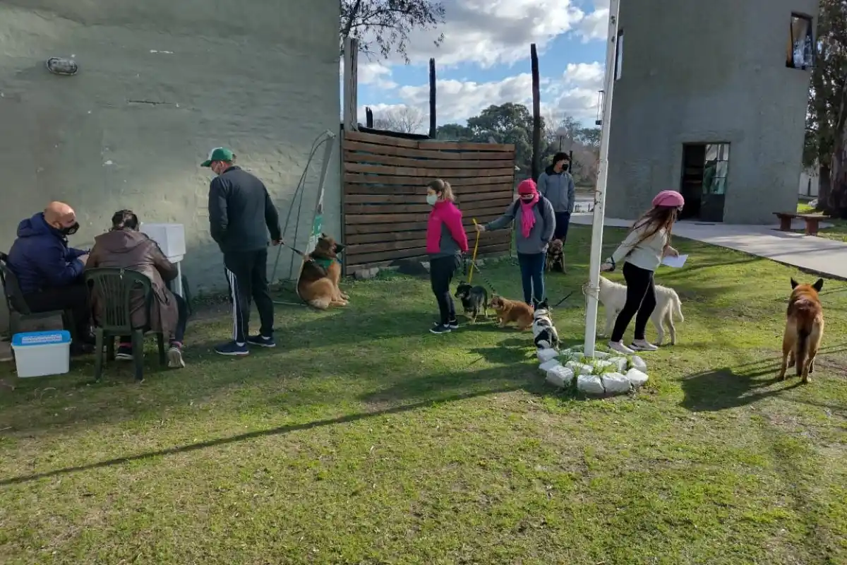 Continúa la campaña de vacunación antirrábica en los diferentes barrios de la ciudad