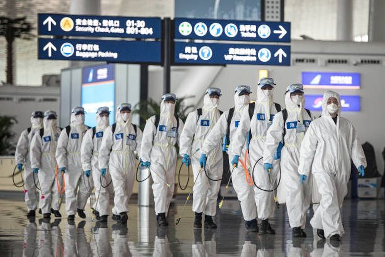 OMS: sin aval del Gobierno Chino, científicos buscan origen del coronavirus