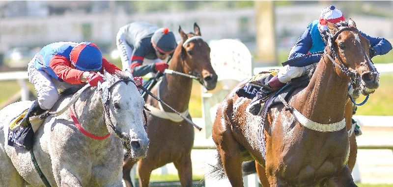 Lunes 7: Actividad Hipódromo de Palermo