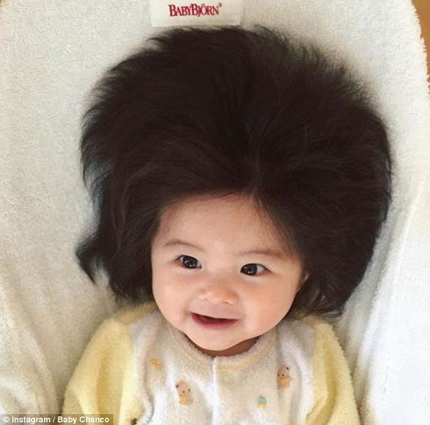 Tiene sólo seis meses, una melena gigante y 80 mil seguidores en Instagram