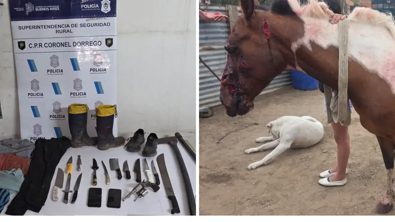 El animal -un ejemplar de pelaje tobiano colorado- se encontraba atado a un poste de alambrado lindante a un camino rural cuando fue encontrado gravemente herido
