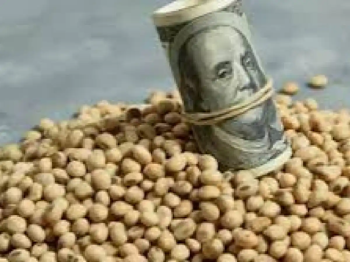 Dólar soja: el Banco Central aclaró quiénes están incluidos en el nuevo cepo