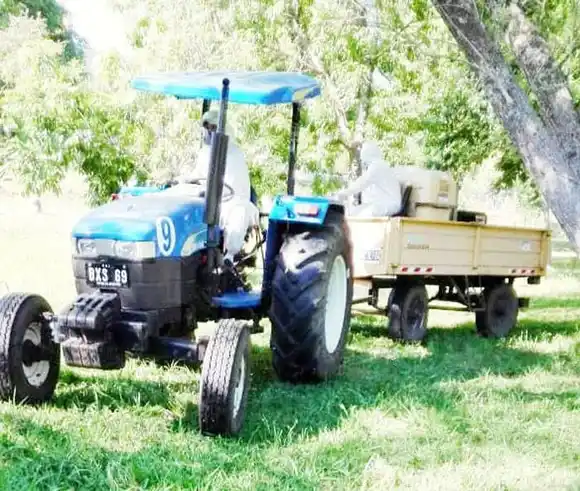 Fumigación y descacharrización
