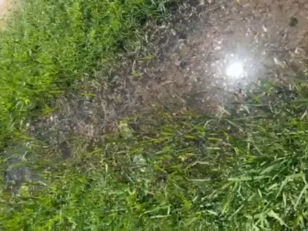 Pérdida de agua en Las Provincias 1600