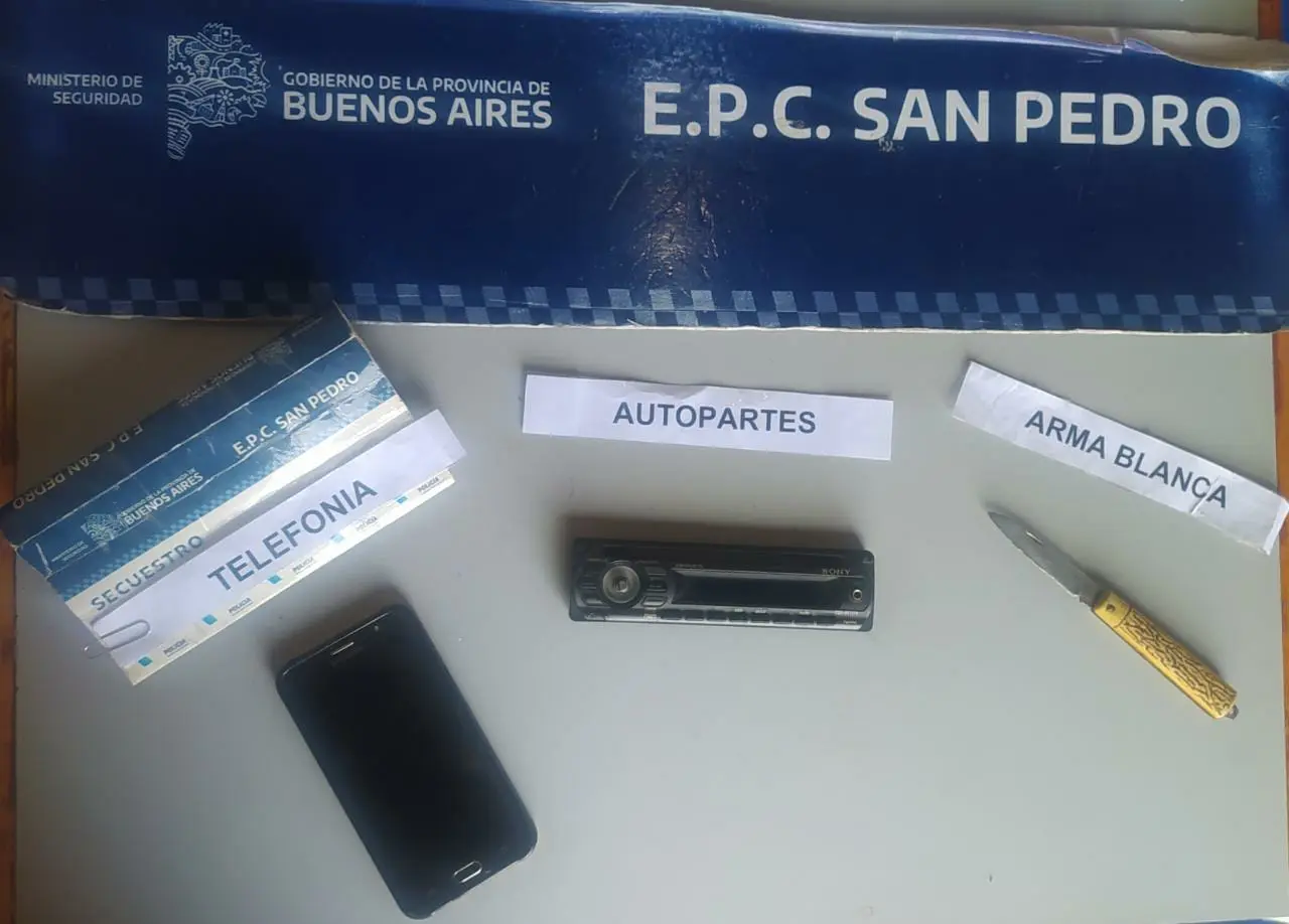 Detuvieron a cuatro adolescentes tras robarles a dos chicas en plaza Constitución