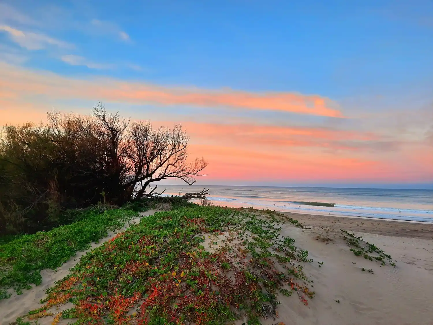Cómo es el programa de descuentos turísticos de Villa Gesell que busca estirar el verano hasta Mayo