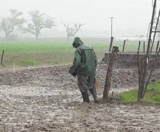 Pasaron 78 días: Se publicó en el Boletín Oficial la declaración la emergencia hídrica, vial, sanitaria y social en la provincia