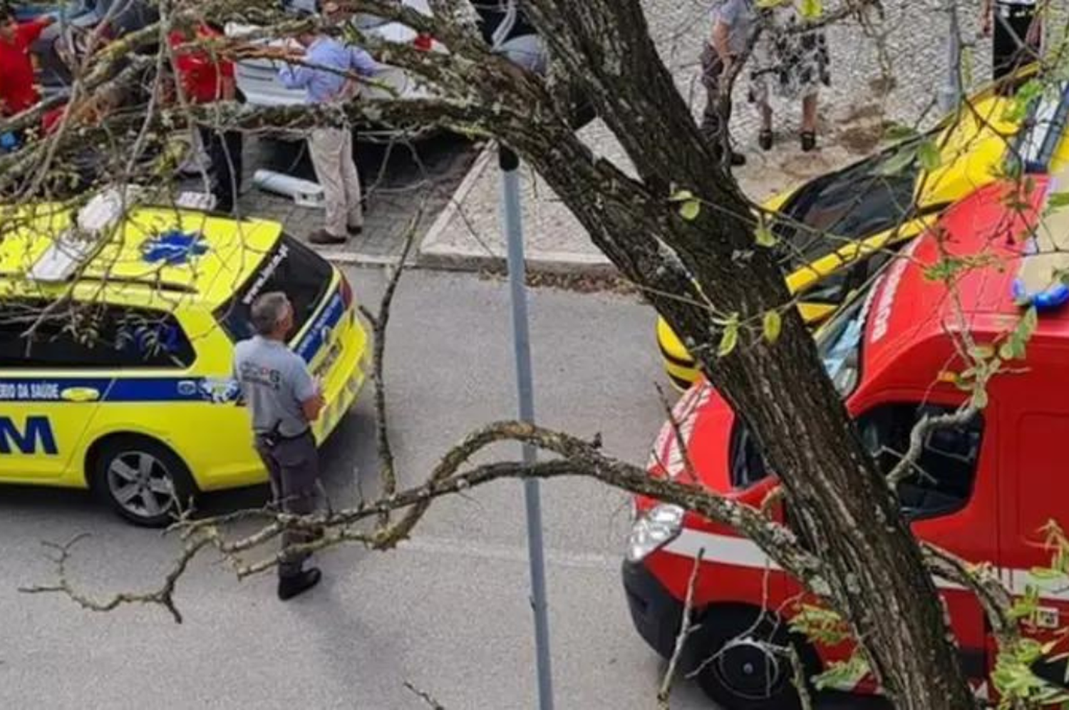 La tragedia ocurrió el pasado martes en la ciudad de Almada.