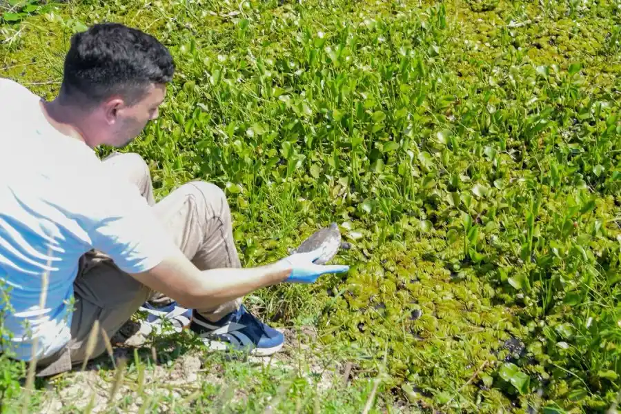 A lo largo del año, se rescataron 1.402 animales silvestres y se logró la liberación de 570 ejemplares