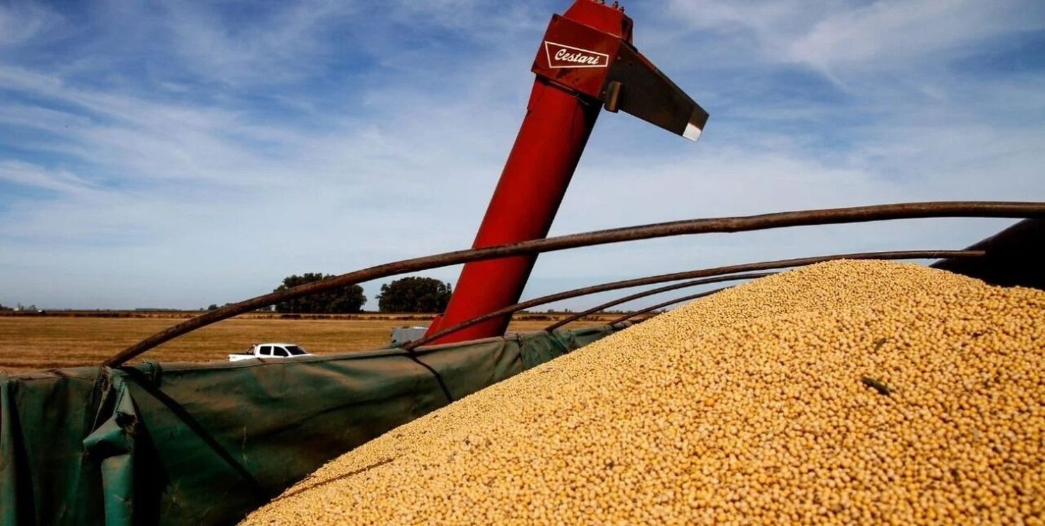 El agro, fuente de dos tercios de la riqueza creada en Santa Fe