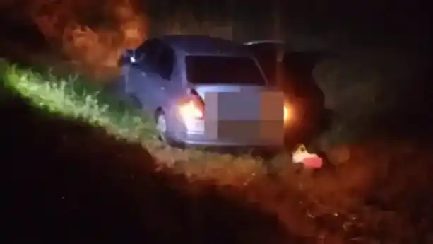 Un auto despistó por esquivar un animal en la ruta 12 y terminó en una zanja