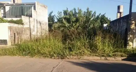 Terreno sucio
