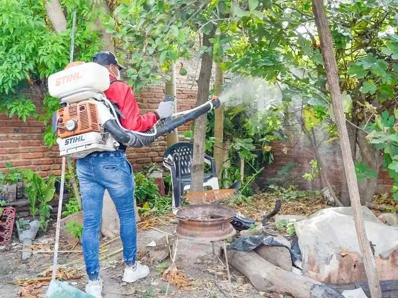 El conteo de los casos de dengue reflejó un nuevo descenso