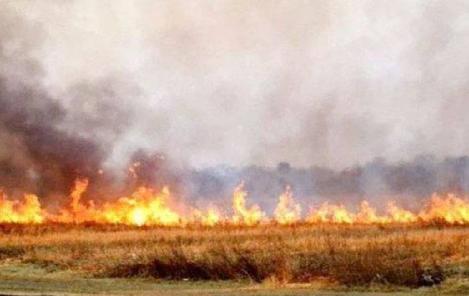 Fuego en los Esteros del Iberá: Un portal de acceso arde desde hace cinco días