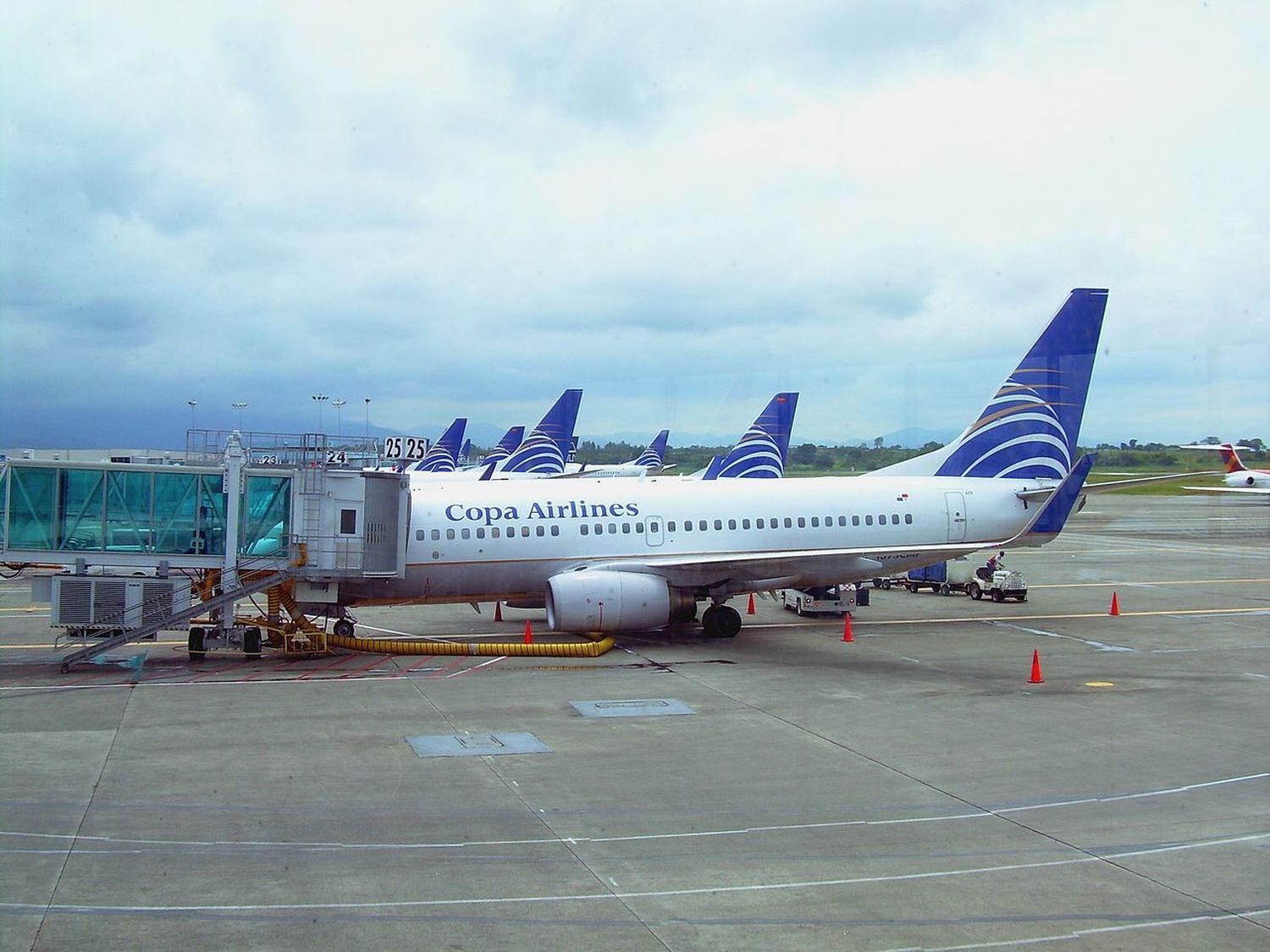 Copa increased flights on its only domestic route in Panama