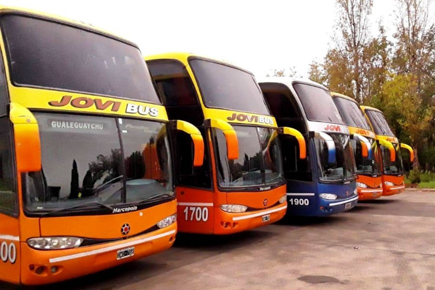 Jovi Bus admite que hay días que viajan "sin pasajeros" y que debieron quitar frecuencias