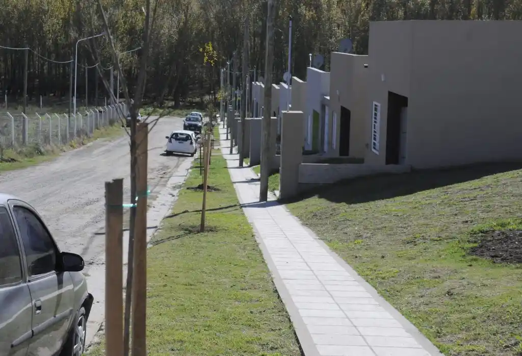 El Municipio continúa con la plantación de  nuevos árboles en diferentes zonas 