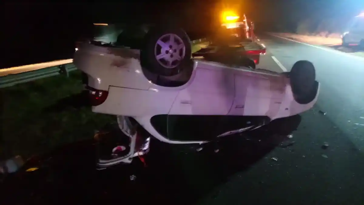 Un animal los hizo volcar: dos mayores y una menor fueron trasladados al Hospital Centenario