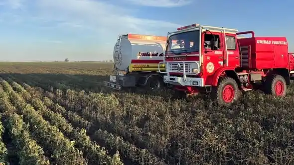 Tarde de tensión en el campo: Bomberos lograron frenar un incendio en Clucellas